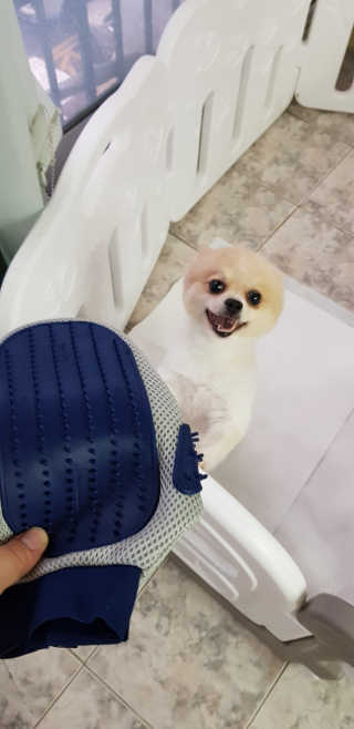 호이Hoi님이 올린 리뷰 사진 1
