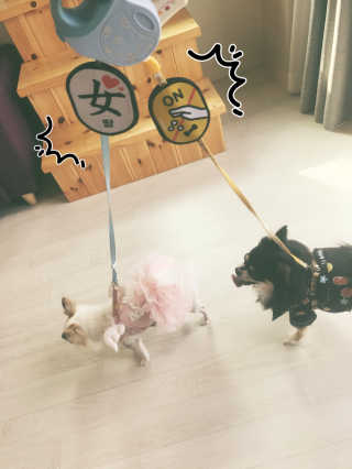 은쓸님이 올린 리뷰 사진 2
