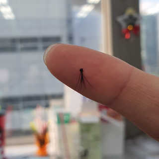 집수닝님이 올린 리뷰 사진 2
