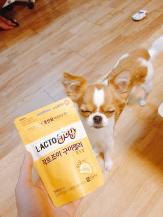 꼬몽쓰님이 올린 리뷰 사진 3