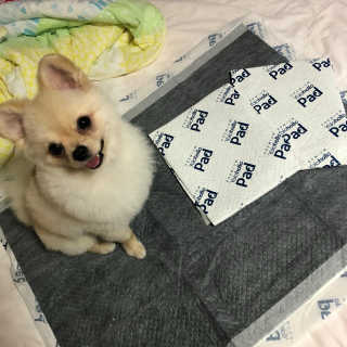 김다경님이 올린 리뷰 사진 2