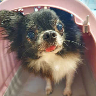 쏭야님이 올린 리뷰 사진 1
