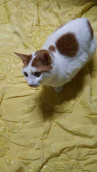 믿음이님이 올린 리뷰 사진 4