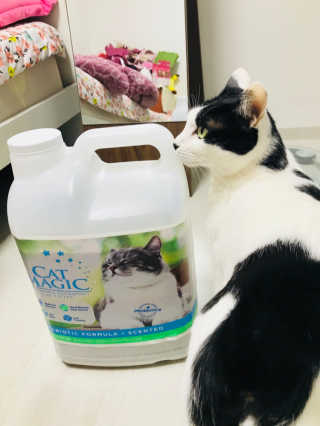 이미라님이 올린 리뷰 사진 1