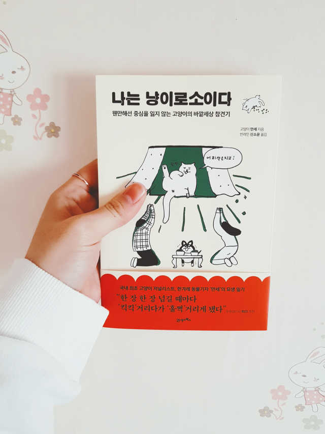 나는 냥이로소이다 리뷰 사진