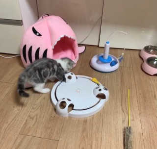 이가빈님이 올린 리뷰 사진 3