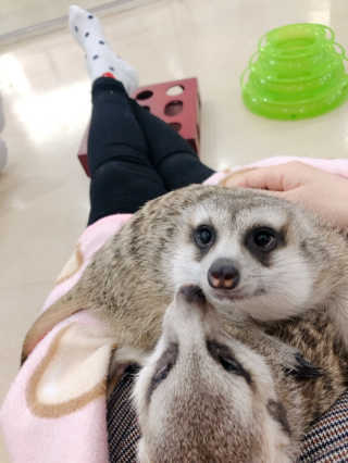 cocoa님이 올린 리뷰 사진 1