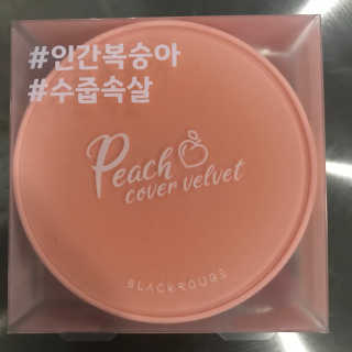 [블랙루즈] 피치 커버 벨벳 쿠션 2종 중 택1 — 5점을 준 리뷰어가 2019년 10월 올린 사용 사진