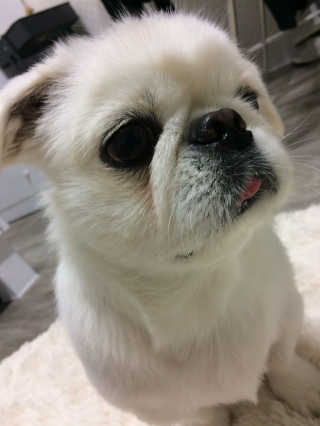 Jewel1994님이 올린 리뷰 사진 2