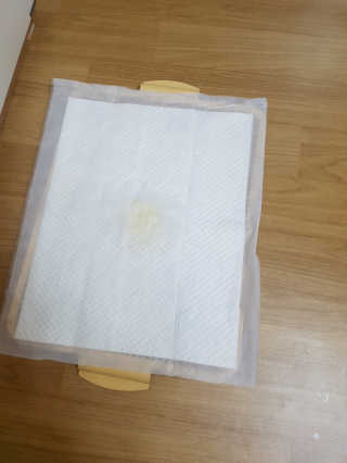 삐랭이님이 올린 리뷰 사진 3