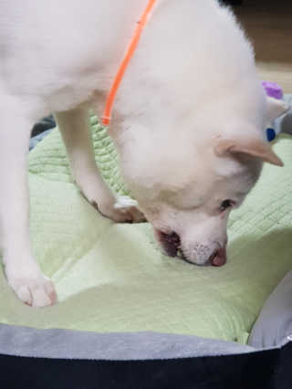 쩡이❣님이 올린 리뷰 사진 1