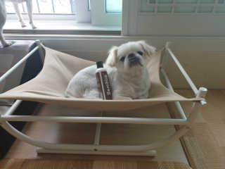 mini unni님이 올린 리뷰 사진 3