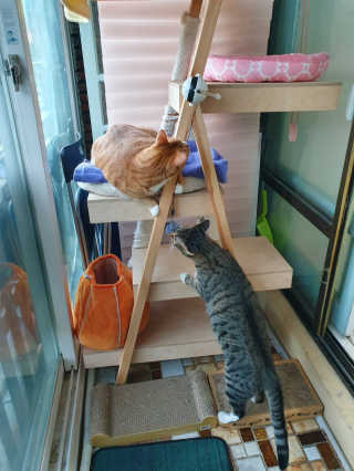 제니블링님이 올린 리뷰 사진 1