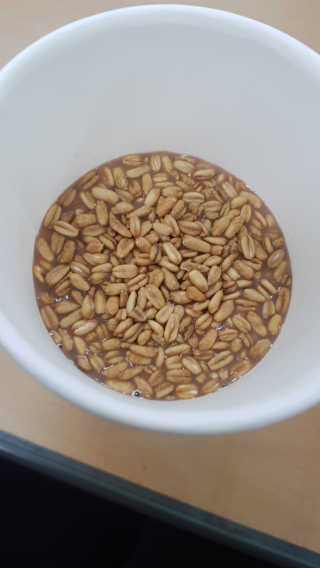 지순냐냥님이 올린 리뷰 사진 2