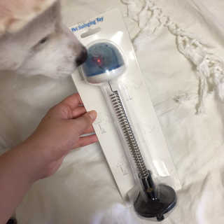 J님이 올린 리뷰 사진 2