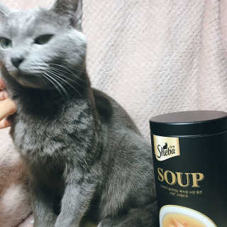 정현하님이 올린 리뷰 사진 1
