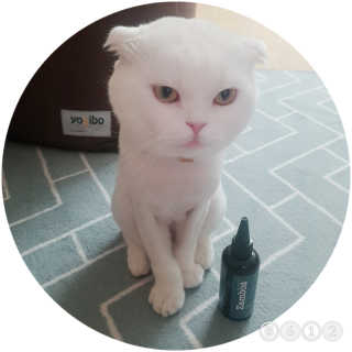 sunny38님이 올린 리뷰 사진 1