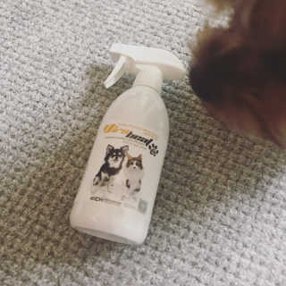 이지수님이 올린 리뷰 사진 1