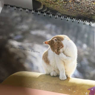 예스르님이 올린 리뷰 사진 3