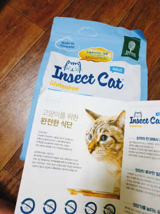 그린펫푸드 인섹트캣 글루텐프리（1.2KG） — 4점을 준 리뷰어가 2019년 8월 올린 사용 사진