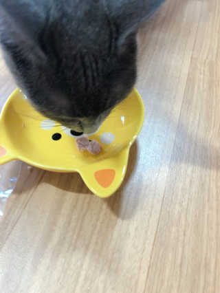 sisi님이 올린 리뷰 사진 2