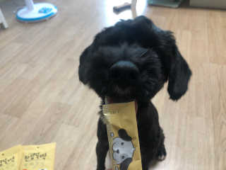 [펫토리아]짜먹는 한입뚝딱 강아지.고양이 마약간식 — 4점을 준 리뷰어가 2019년 8월 올린 사용 사진