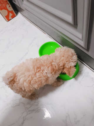 뗘윤님이 올린 리뷰 사진 2