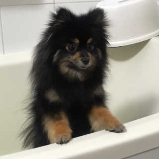 sezy님이 올린 리뷰 사진 2