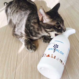 isb1197님이 올린 리뷰 사진 2