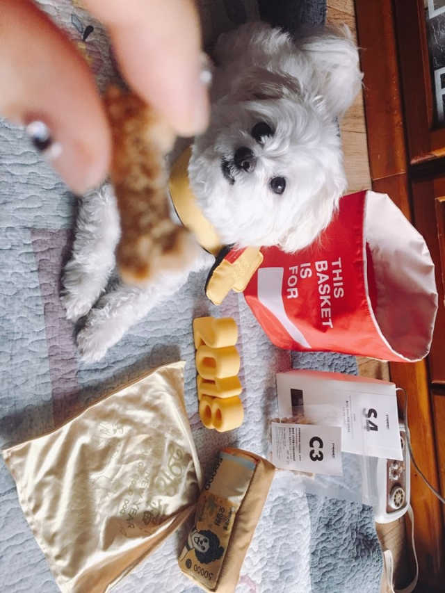 베이컨박스 리뷰 사진