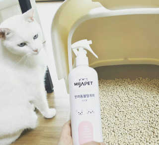 미자펫 반려동물탈취제 500ml — 4.33점을 준 리뷰어가 2018년 8월 올린 사용 사진