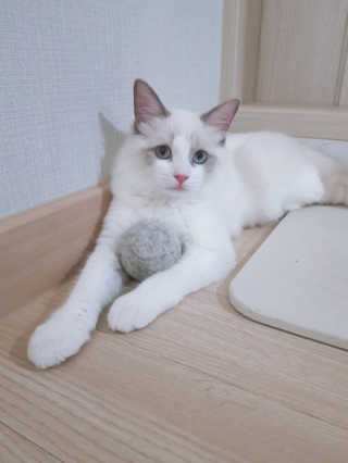 subi秀妃님이 올린 리뷰 사진 1