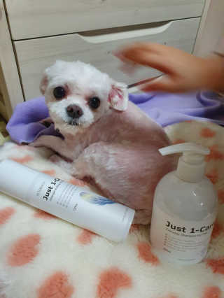 Lauren님이 올린 리뷰 사진 3