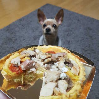 롤리팝님이 올린 리뷰 사진 1