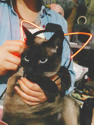 소루님이 올린 리뷰 사진 1