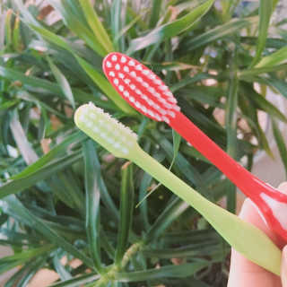 거져줄께잘사가님이 올린 리뷰 사진 4