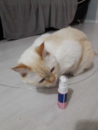 보라보라님이 올린 리뷰 사진 3