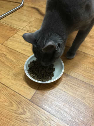 서근님이 올린 리뷰 사진 2