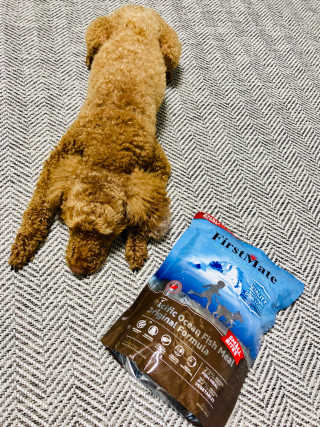 둥이아빠❤️님이 올린 리뷰 사진 2