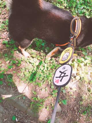 포장마차님이 올린 리뷰 사진 4