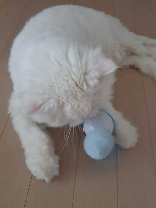 으하하하하님이 올린 리뷰 사진 3