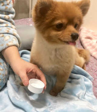 SunPark님이 올린 리뷰 사진 3