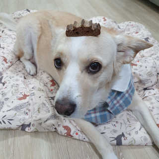 엘리님이 올린 리뷰 사진 3