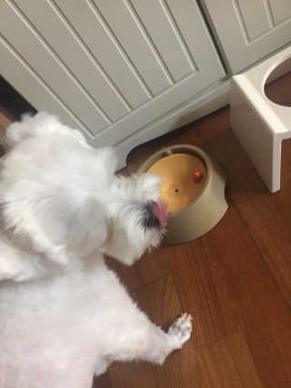 인애님이 올린 리뷰 사진 2