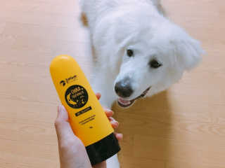쩡어놔님이 올린 리뷰 사진 2
