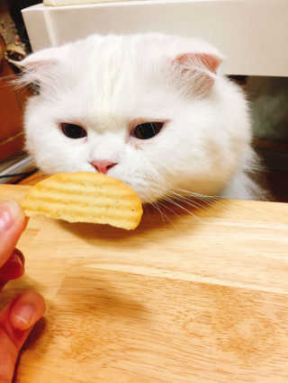 s0ngh2님이 올린 리뷰 사진 3
