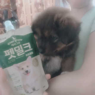 [빙그레] 에버그로 생유산균 1봉（10포입）+펫밀크2팩 — 5점을 준 리뷰어가 2019년 6월 올린 사용 사진