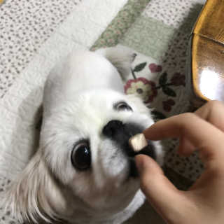 슈민짱짱님이 올린 리뷰 사진 4