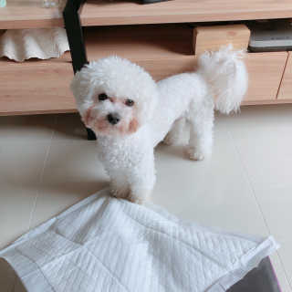 우주님이 올린 리뷰 사진 1