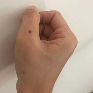 으내으내조님이 올린 리뷰 사진 3